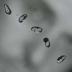 PETER GABRIEL / ピーター・ガブリエル / UP