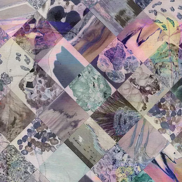WHITE POPPY / ホワイト・ポッピー / NATURAL PHENOMENA (LP)