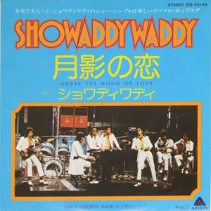 SHOWADDYWADDY / ショワディワディ / 月影の恋
