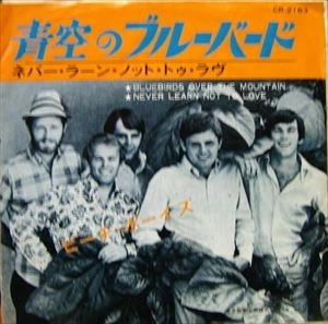 BEACH BOYS / ビーチ・ボーイズ / 青空のブルーバード