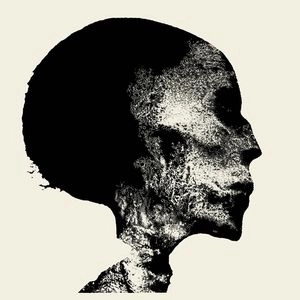 CHAOS ECHOES / TRANSIENT