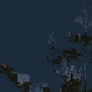 HAKOBUNE / VITEX NEGUNDO RE WORKED & DE CONSTRUCTED