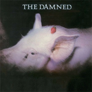 DAMNED / STRAWBERRIES