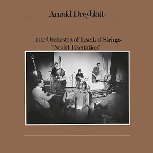 ARNOLD DREYBLATT / アーノルド・ドレイブラット / NODAL EXCITATION