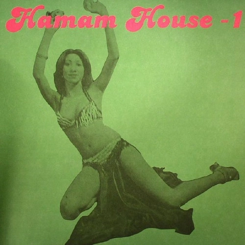 MEHMET ASLAN / HAMAM HOUSE 1