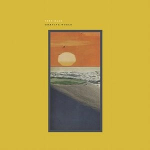 TEEN DAZE / ティーン・デイズ / MORNING WORLD