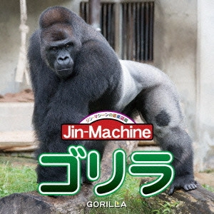 Jin-Machine / ゴリラ(ヒガシローランドゴリラ)