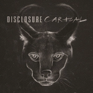DISCLOSURE / ディスクロージャー / カラカル