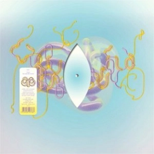 BJORK / ビョーク / NOTGET (LOTIC KEPTSAFE VERSION)