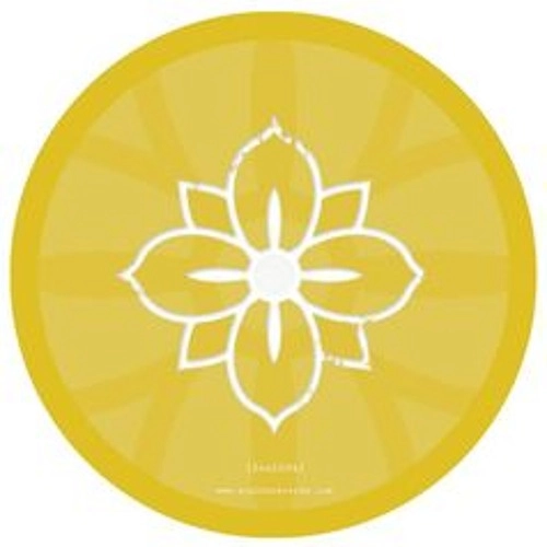 NOVIO DUB TRIBE / SOUL FOUR