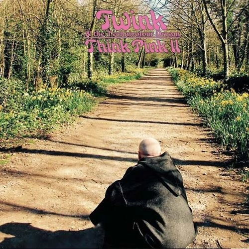 TWINK / トゥインク / THINK PINK II