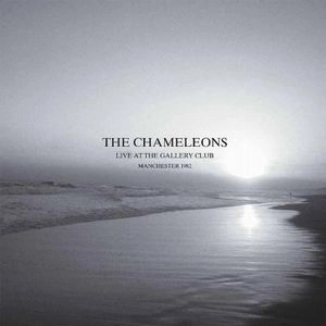 CHAMELEONS / カメレオンズ / LIVE AT THE GALLERY CLUB