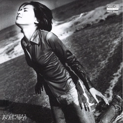 SAIKO SUZUKI / 鈴木彩子 / あの日に帰ろう [MEG-CD]