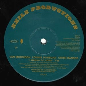 VAN MORRISON / ヴァン・モリソン / I WANNA GO HOME