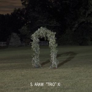 S. ARAW "TRIO" XI / GAZEBO EFFECT