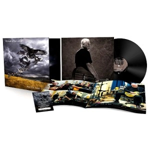 DAVID GILMOUR / デヴィッド・ギルモア / RATTLE THAT LOCK (VINYL)