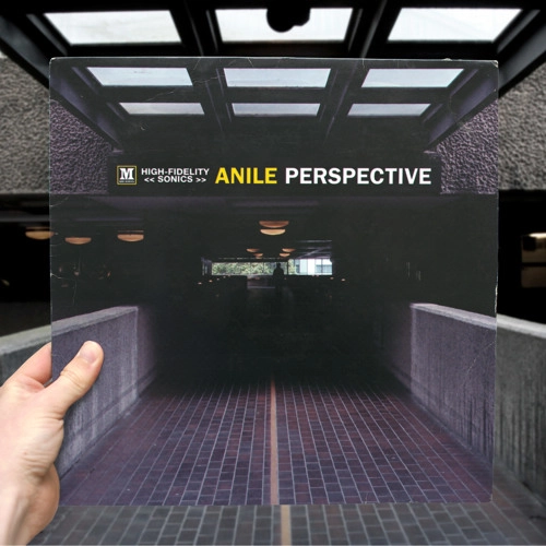 ANILE / PERSPECTIVE
