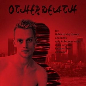 SEAN NICHOLAS SAVAGE / OTHER DEATH