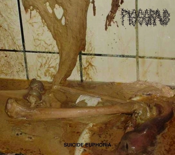 PISSGRAVE / SUICIDE EUPHORIA