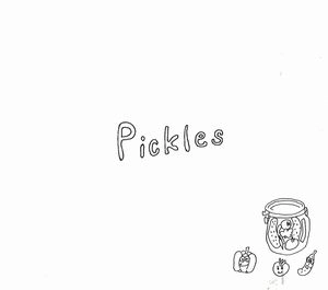l'avion / ラヴィオン / ピクルス / Pickles 