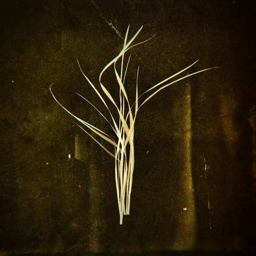 LUMISOKEA   / MNEMOSYNE