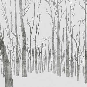 MAX LODERBAUER/BEE MASK / TAO REMIXES