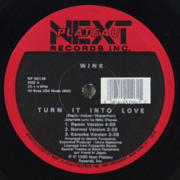 WINK (JOSH WINK) / TURN IT INTO LOVE