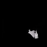 BOB MOSES (TECHNO) / DAYS GONE BY