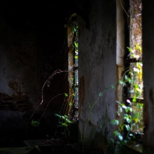 HAKOBUNE & DIRK SERRIES / Ｏｂｓｃｕｒｅｄ　Ｂｙ　Ｂｅａｍｓ　Ｏｆ　Ｓｏｒｒｏｗ