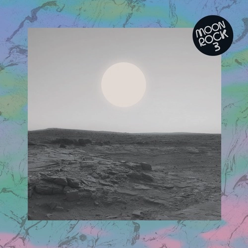 V.A.(MOON ROCK) / MOON ROCK VOL.3