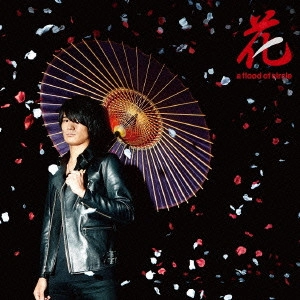a flood of circle / 花