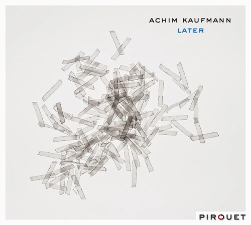 ACHIM KAUFMANN / アキム・カウフマン / LATER