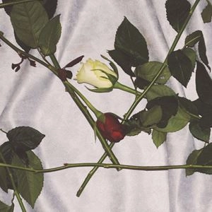 CHAIN OF FLOWERS / CHAIN OF FLOWERS