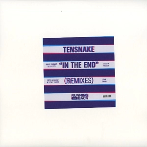 TENSNAKE / テンスネイク / IN THE END