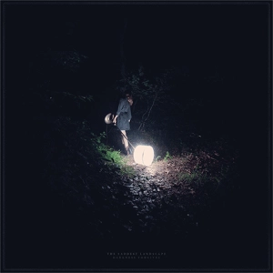 SADDEST LANDSCAPE / サディストランドスケープ / DARKNESS FORGIVES (LP)