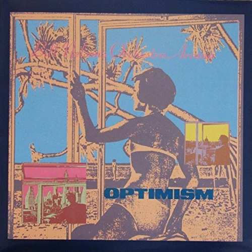 BILL NELSON'S ORCHESTRA ARCANA / ビル・ネルソンズ・オーケストラ・アルカナ / OPTIMISM