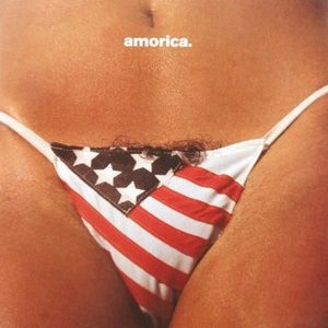 BLACK CROWES / ブラック・クロウズ / AMORICA