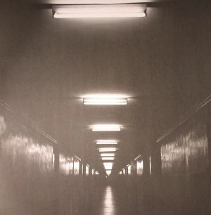 VINALOG / PERSPECTIVES