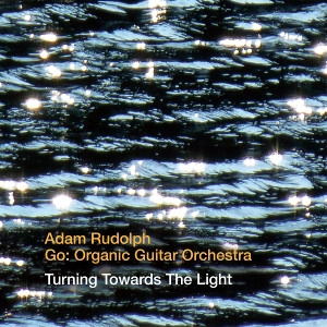 ADAM RUDOLPH / アダム・ルドルフ / Turning Towards The Light