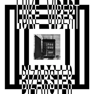 LUKE VIBERT / ルーク・ヴァイバート / BIZARSTER