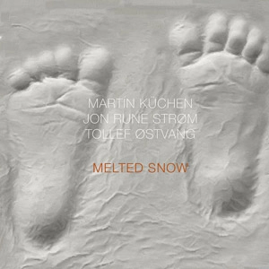 MARTIN KUCHEN / マーティン・クーヘン / MELTED SNOW