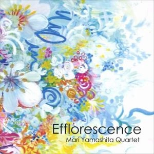 MARI YAMASHITA / 山下真理 / エフロレセンス / Efflorescence 