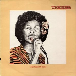 ALAN PARKER                                / アラン・パーカー / VOICES OF SOUL