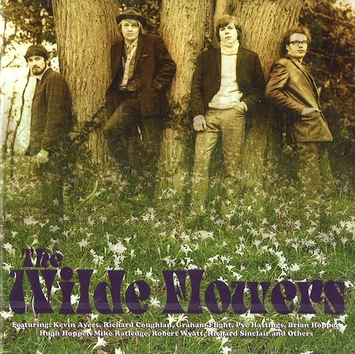 WILDE FLOWERS / ワイルド・フラワーズ / THE WILDE FLOWERS