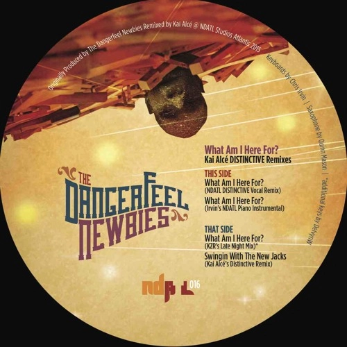 DANGERFEEL NEWBIES / デンジャーフィール・ニュービーズ / WHAT AM I HERE FOR? (KAI ALCE DISTINCTIVE REMIX)