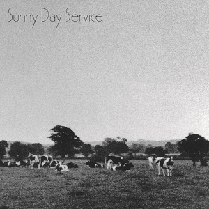 Sunny Day Service / サニーデイ・サービス / サニーデイ･サービス