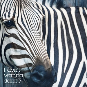FURUKAWA YUTAKA / フルカワユタカ / I don't wanna dance