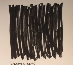 SAM BINGA / WASTED DAYS LP