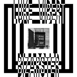 LUKE VIBERT / ルーク・ヴァイバート / BIZARSTER
