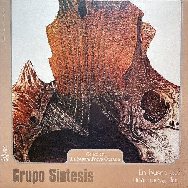 GRUPO SINTESIS / EN BUSCA DE UNA NUEVA FLOR